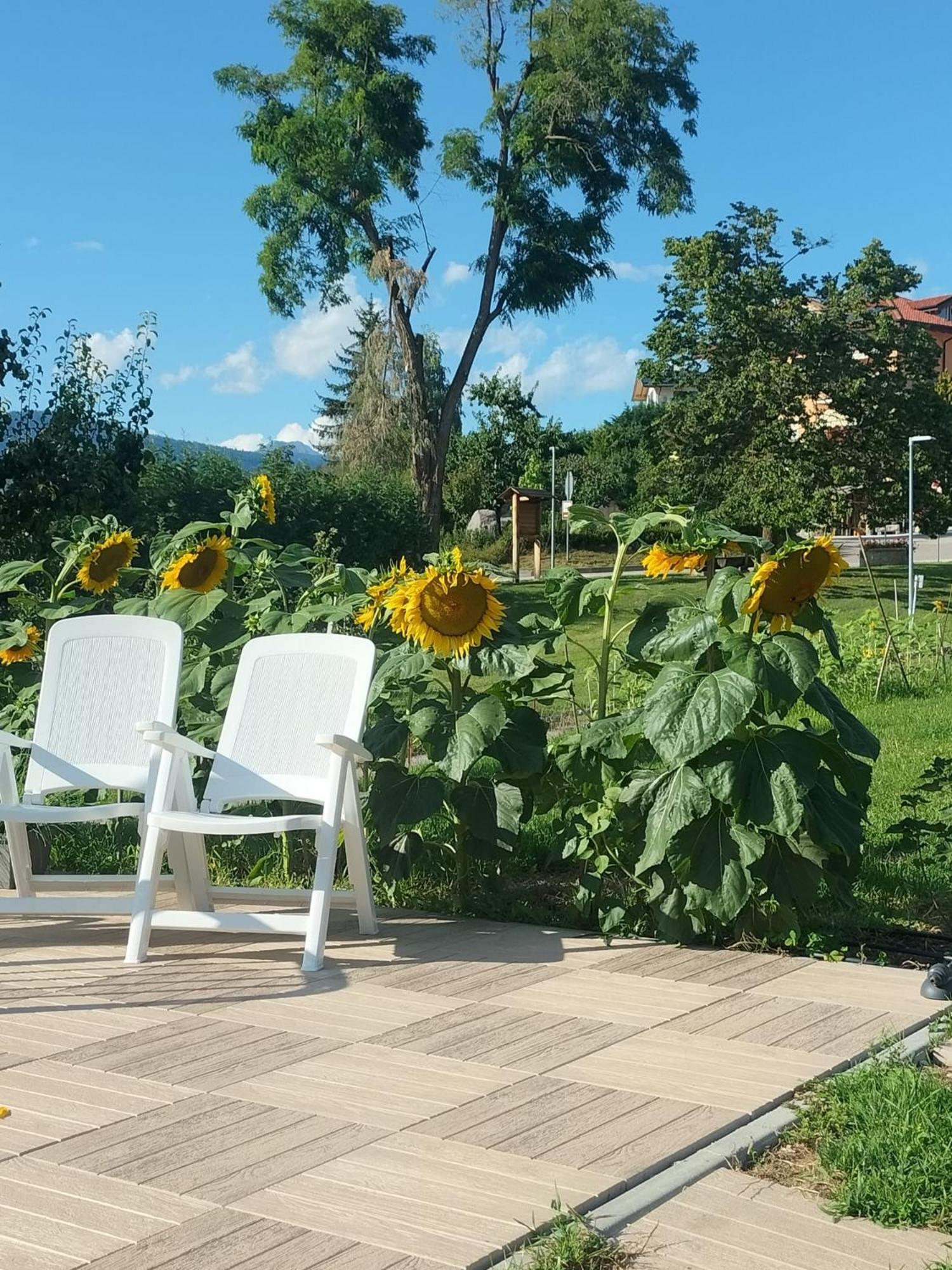 I Girasoli ซานเซโน ภายนอก รูปภาพ