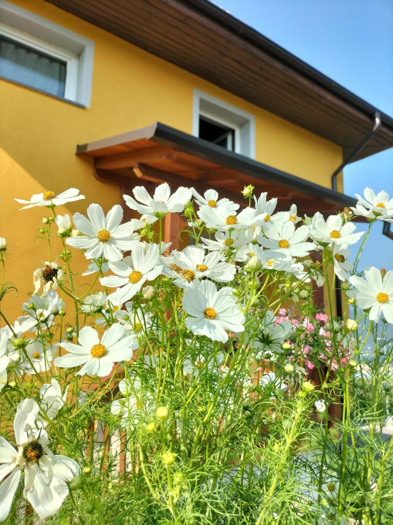 I Girasoli ซานเซโน ภายนอก รูปภาพ